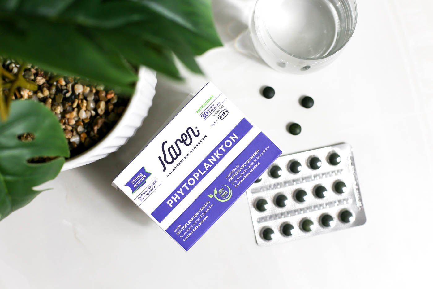 Unlocking the Power of Complete Nutritional Support